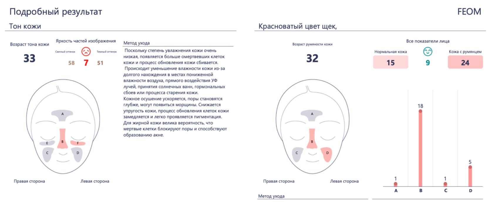 Рис. 7. Подробный результат диагностики кожи